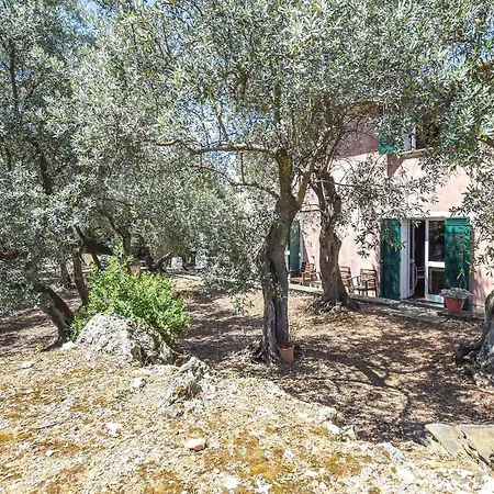 Rosa Holiday home