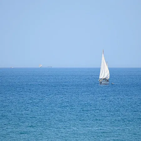 Rosa Le Grazie (Liguria)