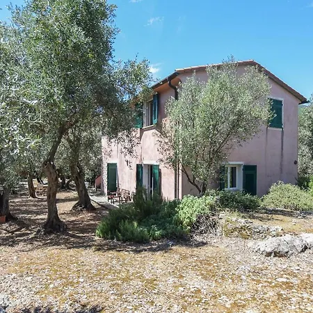 Rosa Casa de Férias