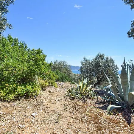 בית נופש Rosa