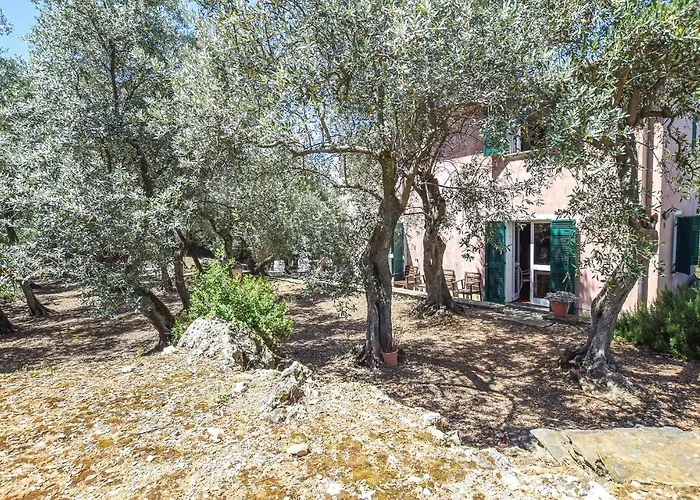 Rosa Casa vacanze